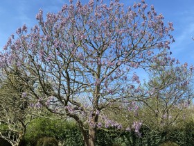 Voir la fiche d&eacute;taill&eacute;e