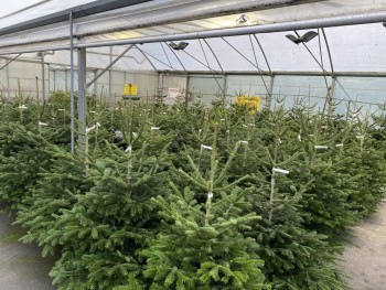 Voir la galerie (4 photos)