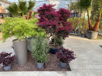 Voir la galerie (3 photos)