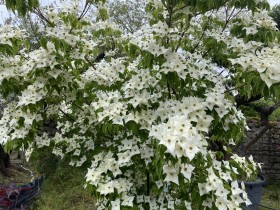 Voir la fiche d&eacute;taill&eacute;e